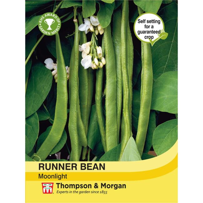 THOMPSON & MORGAN - RUNNER BEAN MOONLIGHT SEEDS