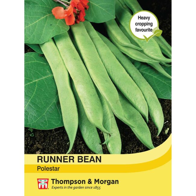 THOMPSON & MORGAN - RUNNER BEAN POLESTAR SEEDS