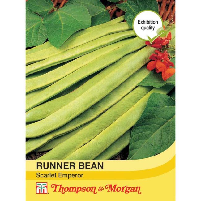 THOMPSON & MORGAN - RUNNER BEAN SCARLET EMPEROR SEEDS