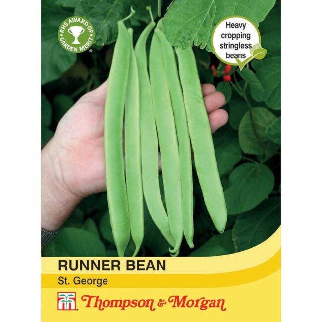THOMPSON & MORGAN - RUNNER BEAN ST. GEORGE SEEDS