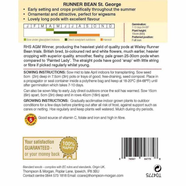 THOMPSON & MORGAN - RUNNER BEAN ST. GEORGE SEEDS - Image 2