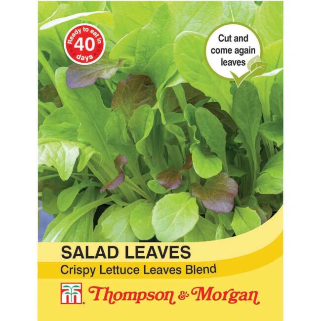 THOMPSON & MORGAN - SALAD LEAVES - CRISPY LETTUCE BLEND SEEDS