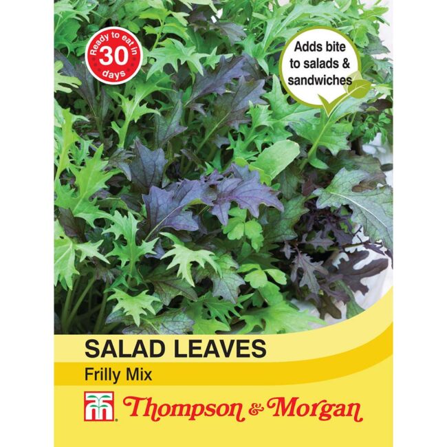 THOMPSON & MORGAN - SALAD LEAVES - FRILLY MIX SEEDS