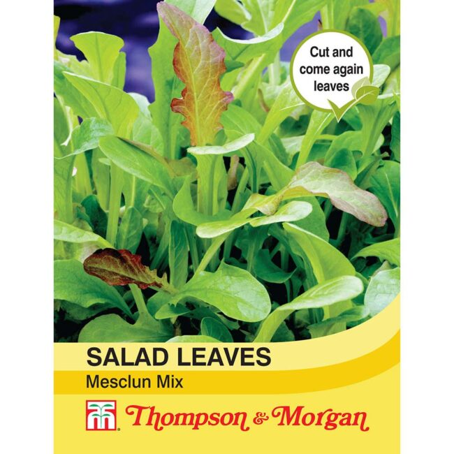 THOMPSON & MORGAN - SALAD LEAVES - MESCLUN MIXED SEEDS