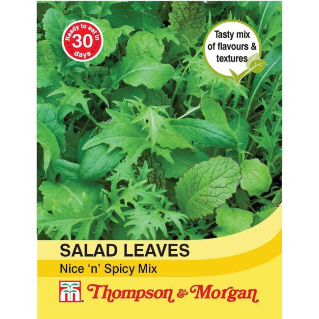 THOMPSON & MORGAN - SALAD LEAVES NICE N SPICY MIXED