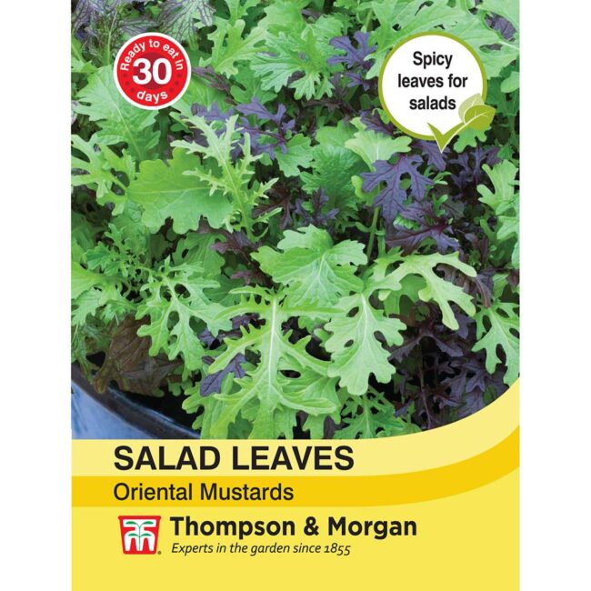 THOMPSON & MORGAN - SALAD LEAVES - ORIENTAL MUSTARDS SEEDS