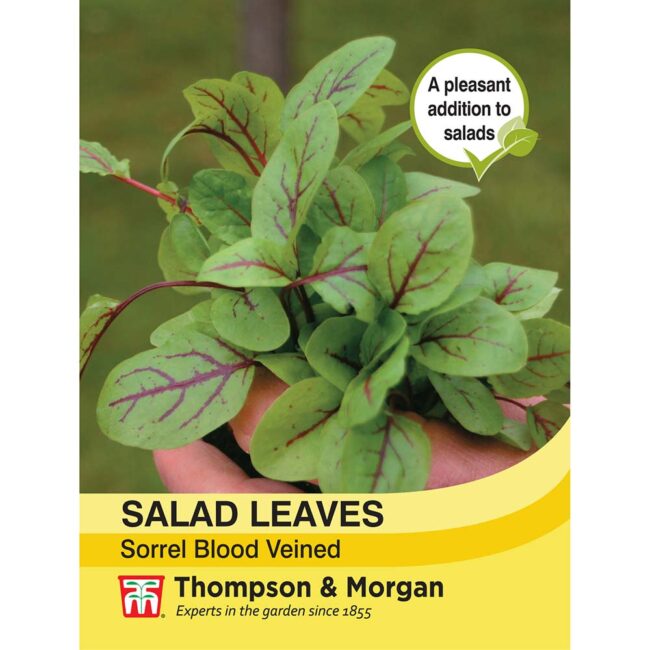 THOMPSON & MORGAN - SALAD LEAVES SORREL BLOOD VEINED