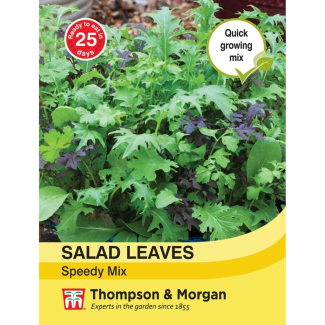 THOMPSON & MORGAN - SALAD LEAVES - SPEEDY MIX SEEDS