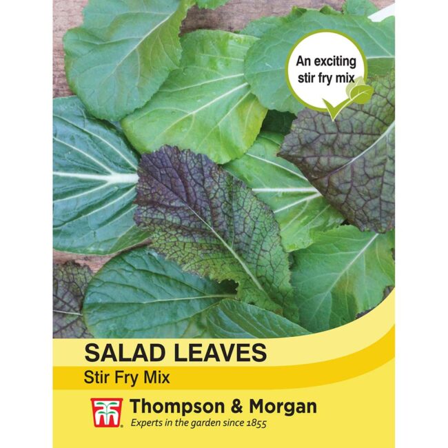 THOMPSON & MORGAN - SALAD LEAVES STIR FRY MIX SEEDS