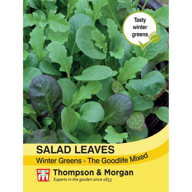 THOMPSON & MORGAN - SALAD LEAVES - WINTER GREENS THE GOOD SEEDS