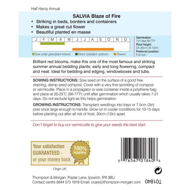 THOMPSON & MORGAN - SALVIA BLAZE OF FIRE SEEDS - Image 2