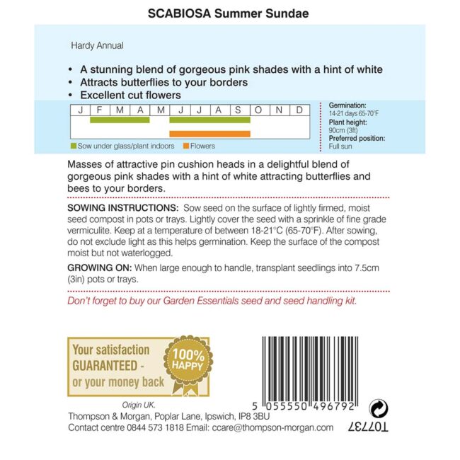 THOMPSON & MORGAN - SCABIOSA SUMMER SUNDAE - Image 2