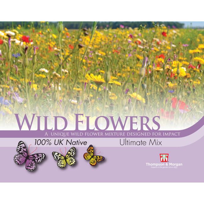 THOMPSON & MORGAN - SCAT WILD FLOWERS ULTIMATE MIX