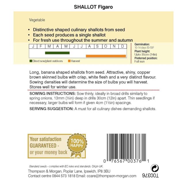 THOMPSON & MORGAN - SHALLOT FIGARO SEEDS - Image 2