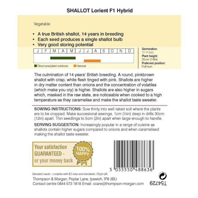 THOMPSON & MORGAN - SHALLOT LORIENT F1 HYBRID SEEDS - Image 2