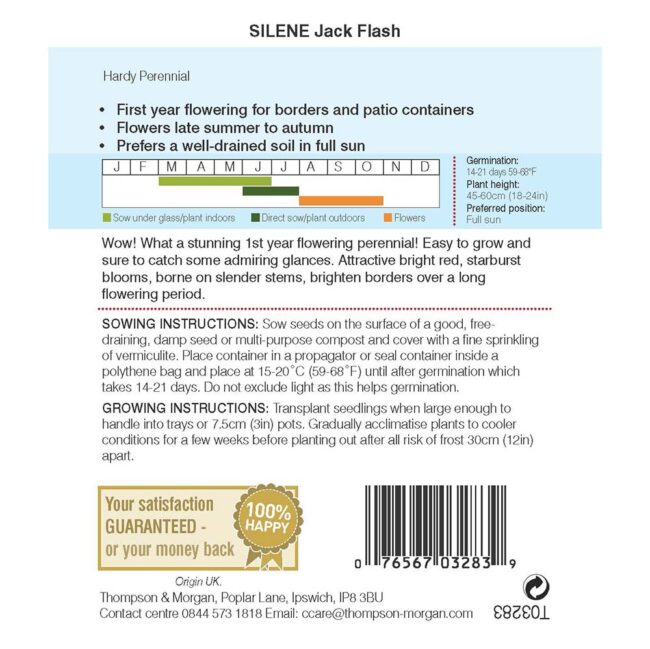 THOMPSON & MORGAN - SILENE JACK FLASH SEEDS - Image 2