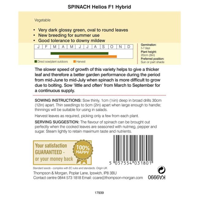 THOMPSON & MORGAN - SPINACH HELIOS F1 HYBRID - Image 2