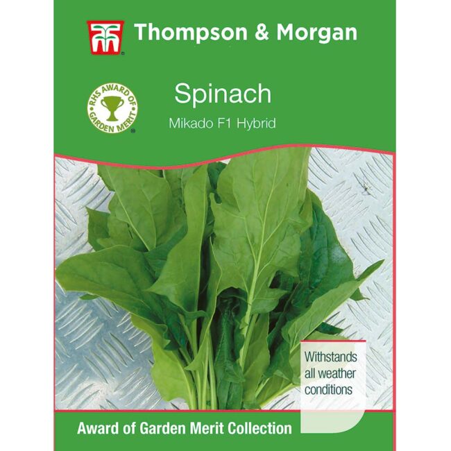 THOMPSON & MORGAN - SPINACH MIKADO F1 HYBRID