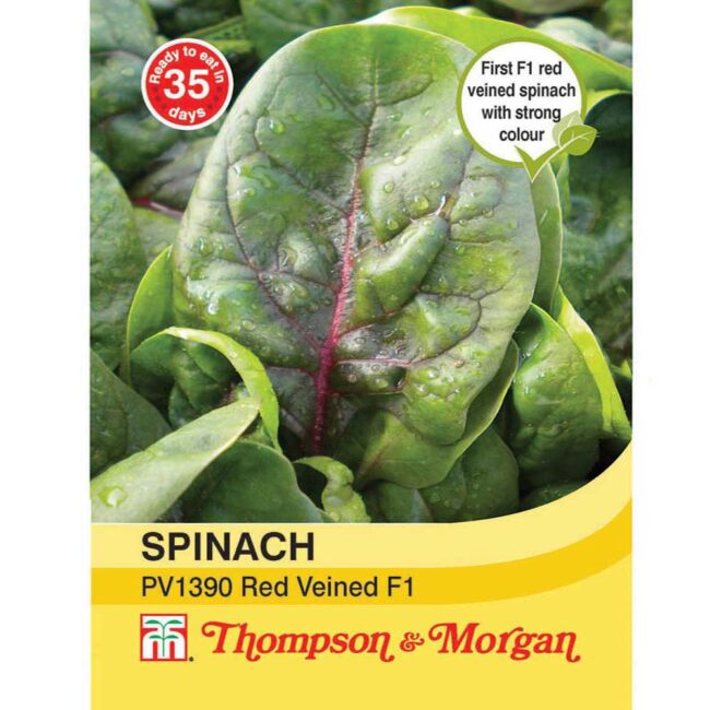 THOMPSON & MORGAN - SPINACH PV1390 RED VEINED SEEDS