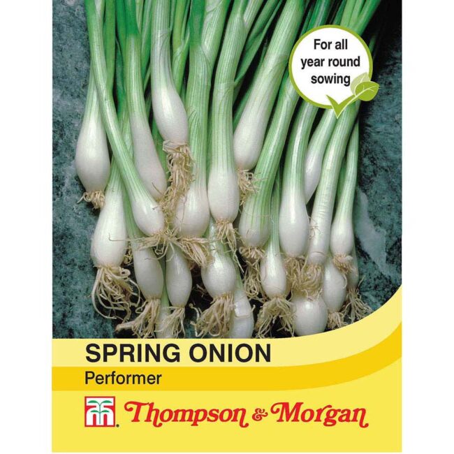 THOMPSON & MORGAN - SPRING ONION PERFORMER SEEDS