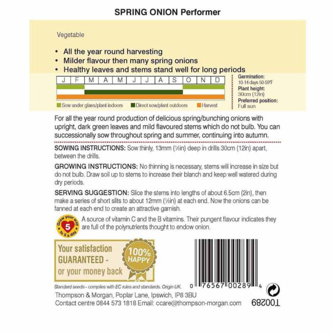 THOMPSON & MORGAN - SPRING ONION PERFORMER SEEDS - Image 2
