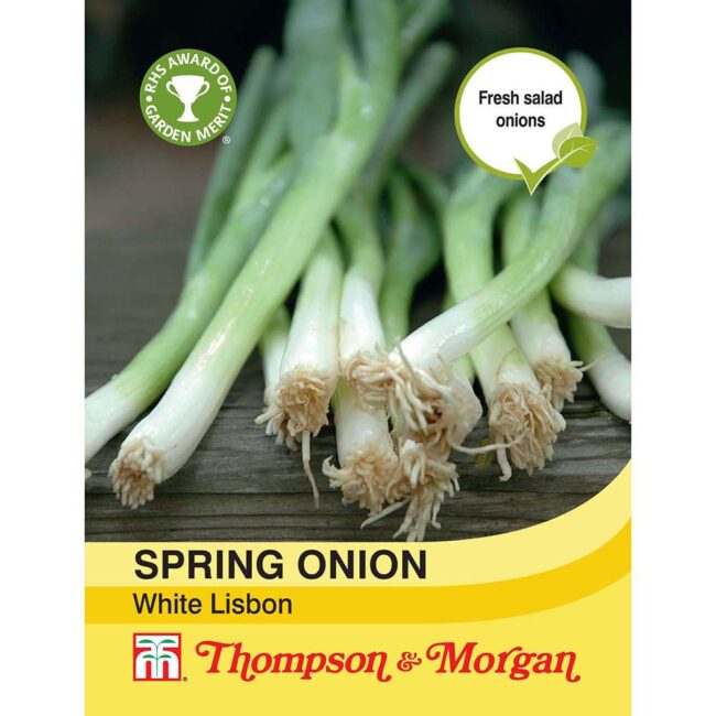 THOMPSON & MORGAN - SPRING ONION WHITE LISBON SEEDS