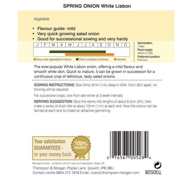 THOMPSON & MORGAN - SPRING ONION WHITE LISBON SEEDS - Image 2