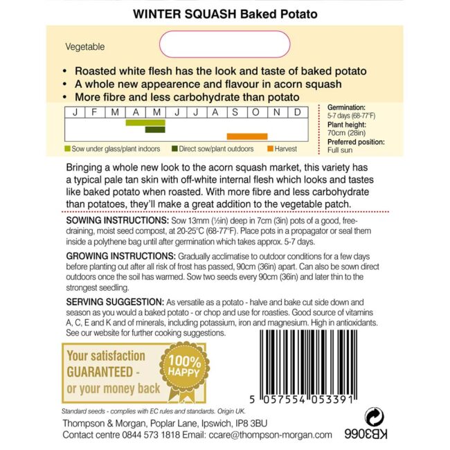 THOMPSON & MORGAN - SQUASH BAKED POTATO (WINTER) SEEDS - Image 2