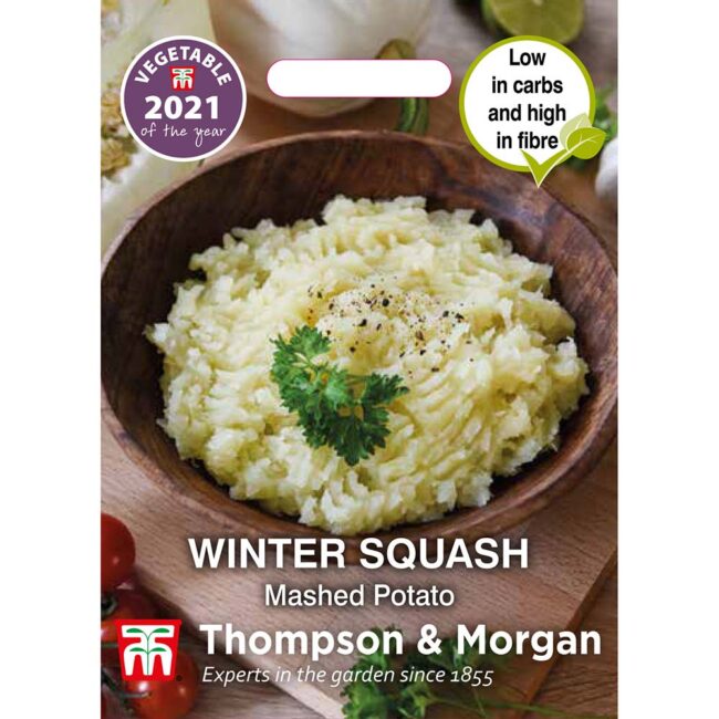 THOMPSON & MORGAN - SQUASH MASHED POTATO (WINTER) SEEDS