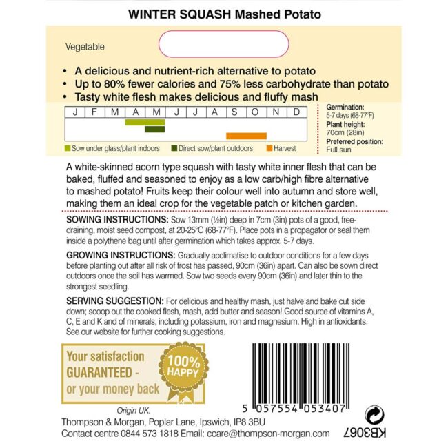 THOMPSON & MORGAN - SQUASH MASHED POTATO (WINTER) SEEDS - Image 2