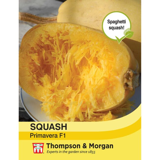 THOMPSON & MORGAN - SQUASH PRIMAVERA F1 HYBRID SEEDS