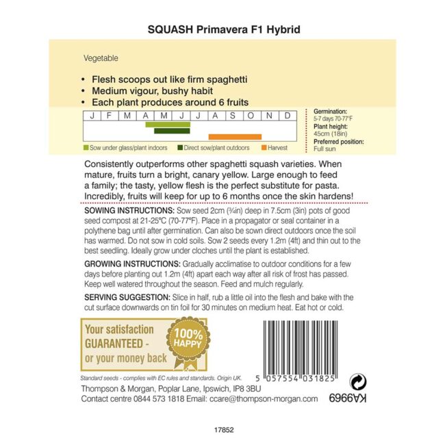 THOMPSON & MORGAN - SQUASH PRIMAVERA F1 HYBRID SEEDS - Image 2