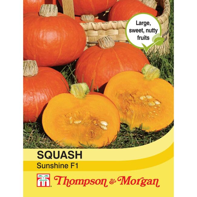 THOMPSON & MORGAN - SQUASH SUNSHINE F1 HYBRID (WINTER) SEEDS