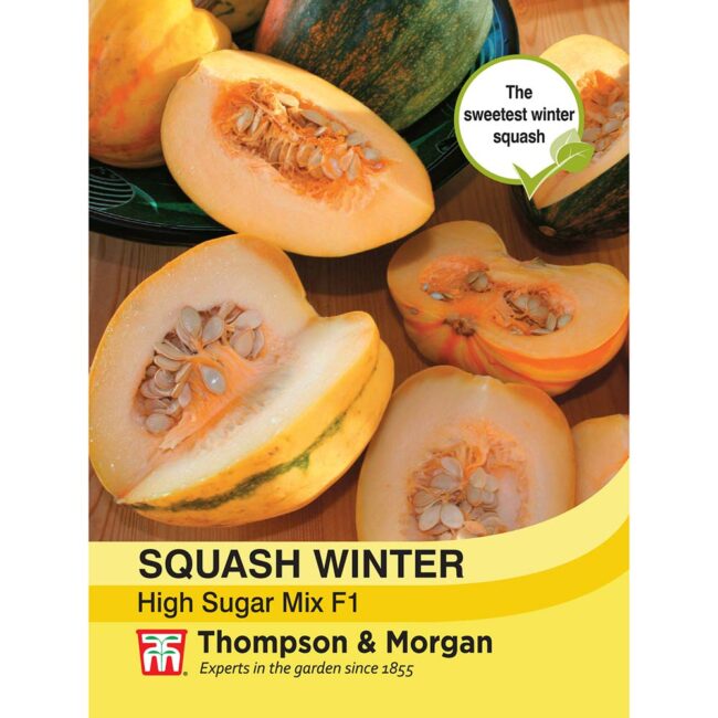 THOMPSON & MORGAN - SQUASH WINTER HIGH SUGAR MIXED F1