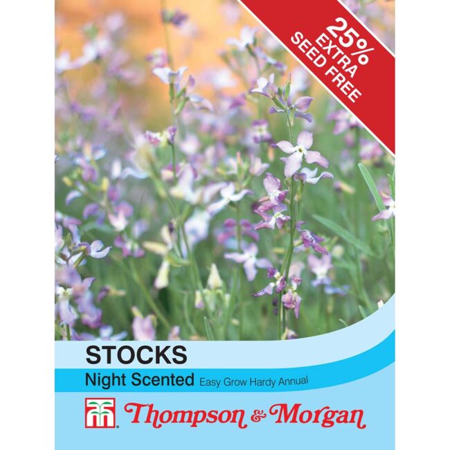 THOMPSON & MORGAN - STOCKS NIGHT SCENTED SEEDS
