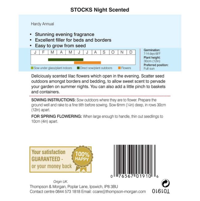 THOMPSON & MORGAN - STOCKS NIGHT SCENTED SEEDS - Image 2