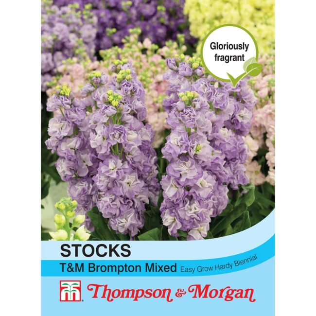 THOMPSON & MORGAN - STOCKS T&M BROMPTON MIXED SEEDS