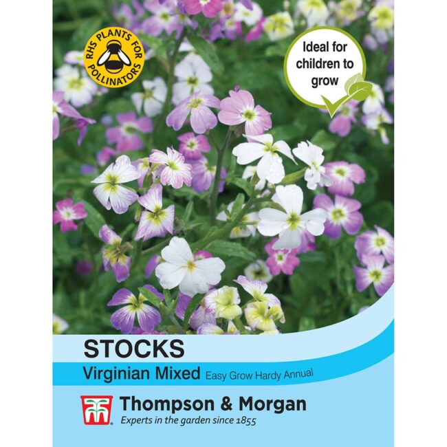 THOMPSON & MORGAN - STOCKS VIRGINIA MIXED