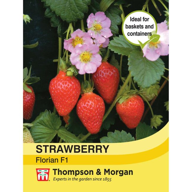 THOMPSON & MORGAN - STRAWBERRY FLORIAN F1 HYBRID SEEDS