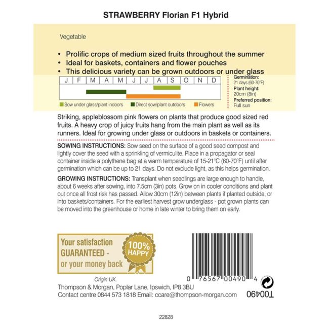 THOMPSON & MORGAN - STRAWBERRY FLORIAN F1 HYBRID SEEDS - Image 2