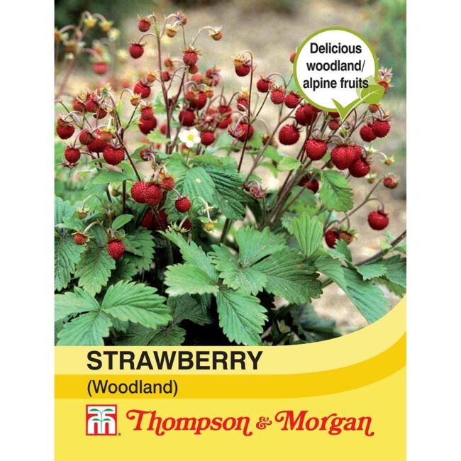 THOMPSON & MORGAN - STRAWBERRY WOODLAND