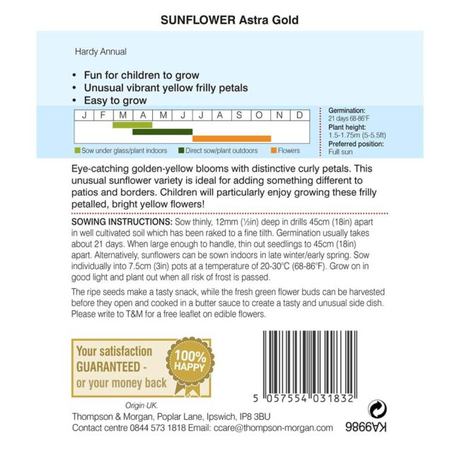 THOMPSON & MORGAN - SUNFLOWER ASTRA GOLD - Image 2