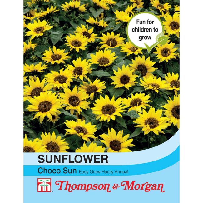 THOMPSON & MORGAN - SUNFLOWER CHOCO SUN SEEDS