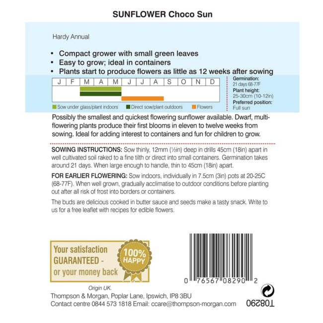 THOMPSON & MORGAN - SUNFLOWER CHOCO SUN SEEDS - Image 2