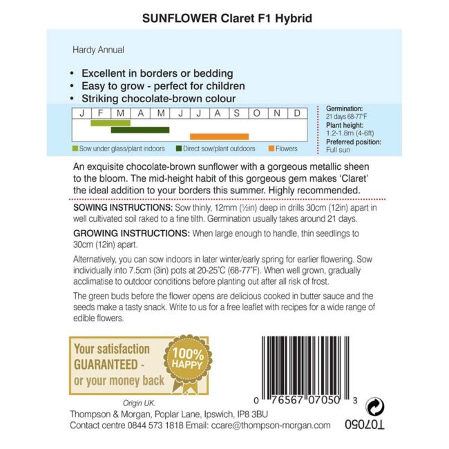THOMPSON & MORGAN - SUNFLOWER CLARET SEEDS - Image 2
