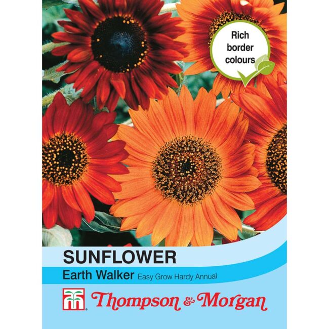 THOMPSON & MORGAN - SUNFLOWER EARTH WALKER SEEDS
