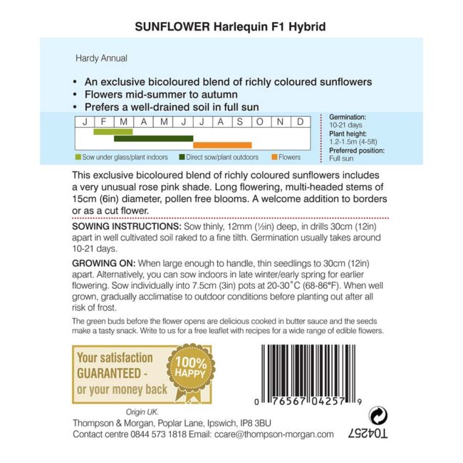 THOMPSON & MORGAN - SUNFLOWER HARLEQUIN MIX F1 HYBRID SEEDS - Image 2