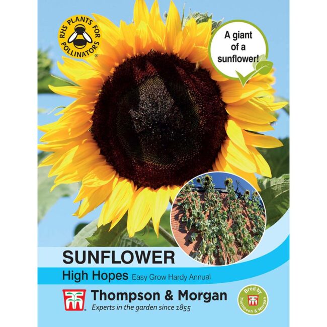 THOMPSON & MORGAN - SUNFLOWER HIGH HOPES SEEDS
