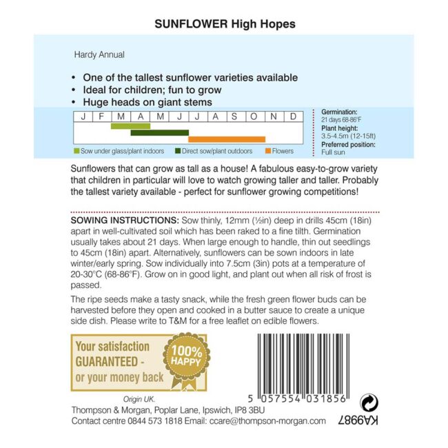 THOMPSON & MORGAN - SUNFLOWER HIGH HOPES SEEDS - Image 2