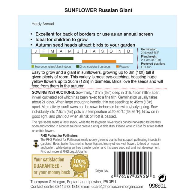 THOMPSON & MORGAN - SUNFLOWER RUSSIAN GIANT SEEDS - Image 2